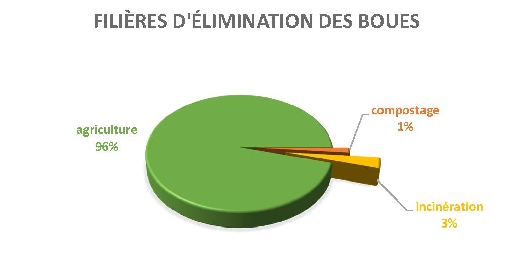 Elimination des boues